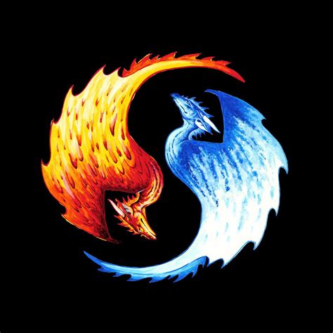 Yin Yang Dragon T Shirts Fire Ice Dragons Yin Yang Art Ice Dragon