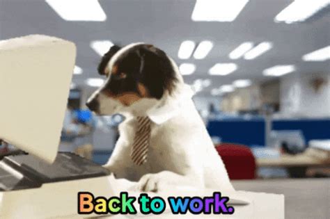 Monday Gif By Justin Find Share On Giphy