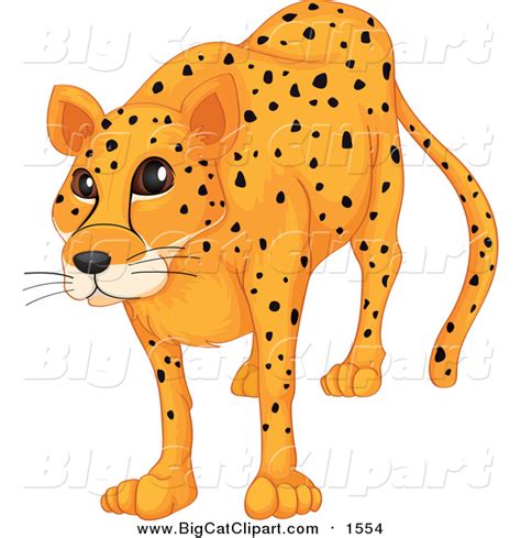 New Big Cat Clipart Designs Page 6