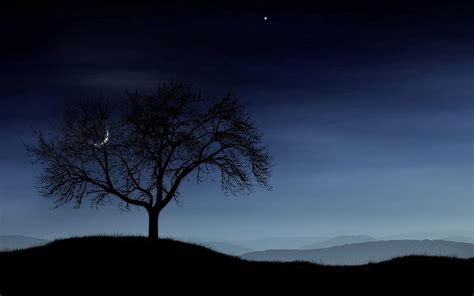 Stars Night Moon Dark Silhouette Wood Tree Fog Lonely Hd