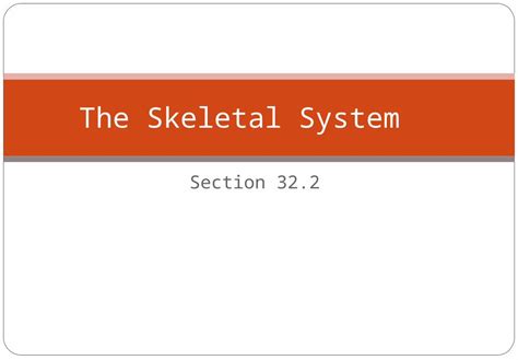 Ppt Section 322 The Skeletal System Structure Of The Skeletal System