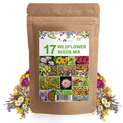 Wildflower Seeds Flower Seed Pack 17 Variety Perennial