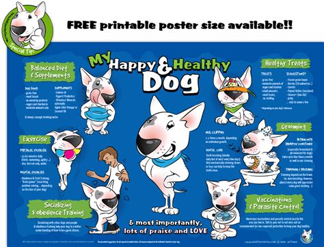 Your Happy And Healthy Dog
