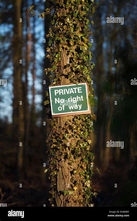 Private No Right Of Way Sign Nailed To A Tree In A Private Woodland Uk