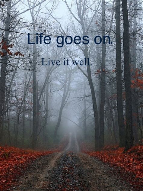 Quote Pictures Life Goes On So Live It Well