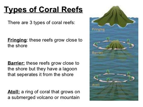 Geomania Coral Reefs