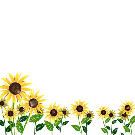Sunflower Clipart Border