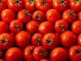 Current Market Price Tomatoes Images