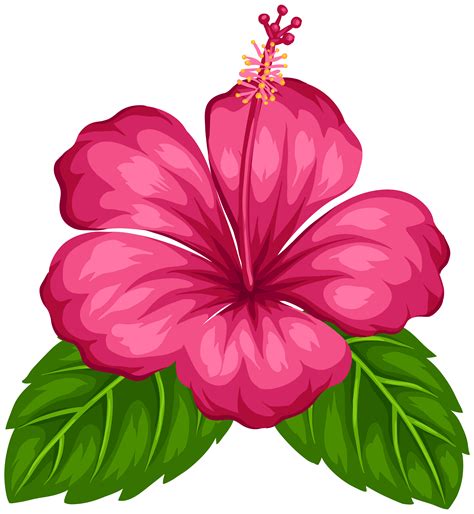 Tropical Flower Clip Art 10 Free Cliparts Download Images On