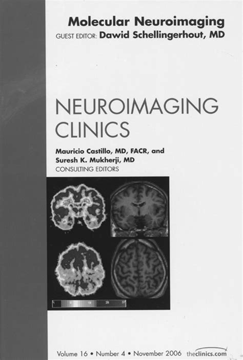 Neuroimaging Clinics Molecular Neuroimaging Vol 16 No 4 American
