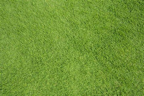 Green Grass Texture Background High Quality Nature Stock Photos