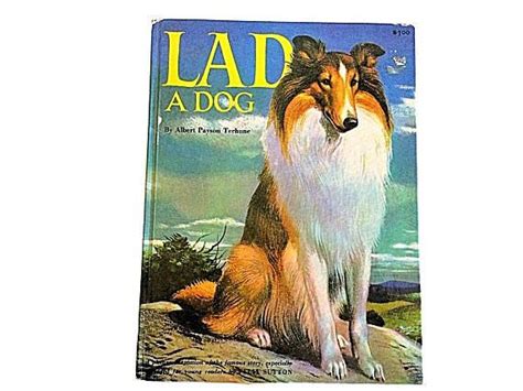 Lad A Dog Book Childrens Dog Book 1950s Child Book Lad By Etsy Dog