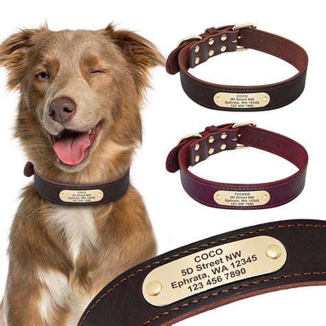 Dog Collar Personalized Genuine Leather Pet Collar Nameplate Id Tags