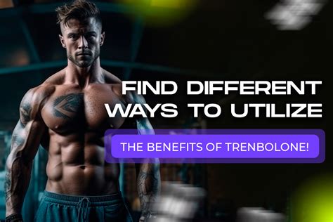 Trenbolone Cycles A Bodybuilders Guide To Tren Use