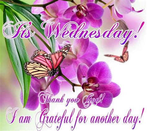 Its Wednesday Im Grateful Pictures Photos And Images For Facebook