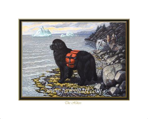 The Hikers Newfoundland Dog Art Print Paws In Art Dog Print Art