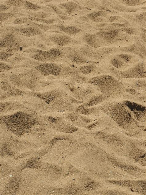 Free Images Beach Sand Rock Field Floor Footprint Holiday Soil