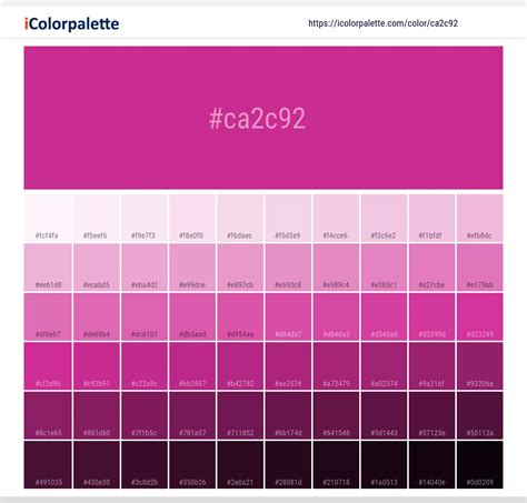 Royal Fuchsia Information Hsl Rgb Pantone