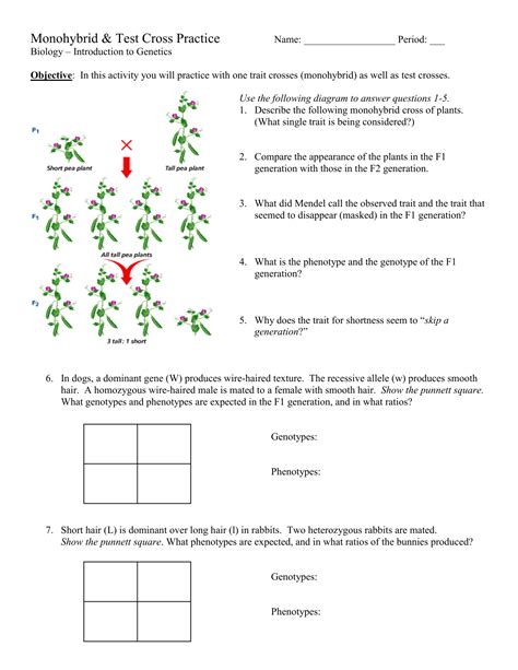 Answer each of the following questions using a punnett square and the rules of monohybrid crosses. Monohybrid Cross Practice Worksheet