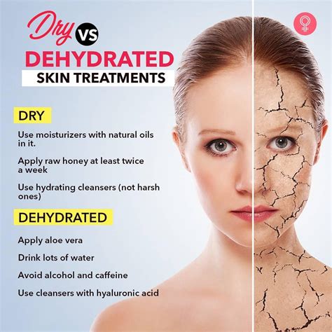 Dry Vs Dehydrated Skin Rhomebeautytips
