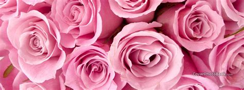 Girly Roses Facebook Cover Nature