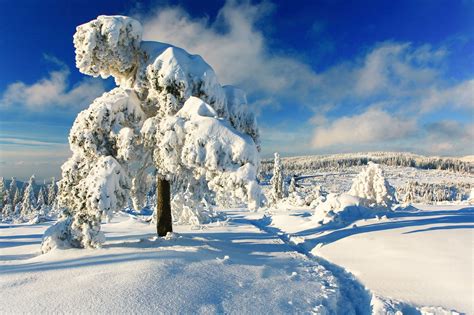 7 Magical Photos That Will Make You Want To Visit The Black Forest In