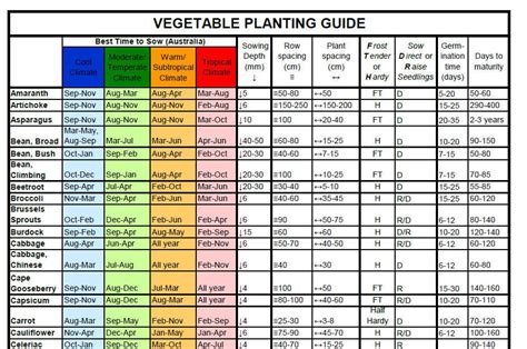 Sowing Chart Vegetables Herbs And Flowers The Seed Collection