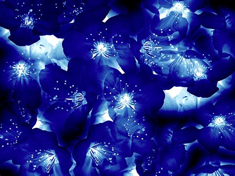 Blue Flowers By Skajlandir On Deviantart