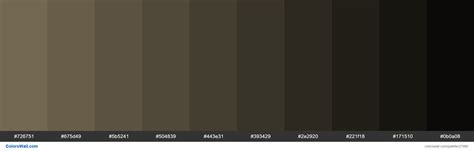 Shades Of Coffee Color 726751 Hex Colorswall