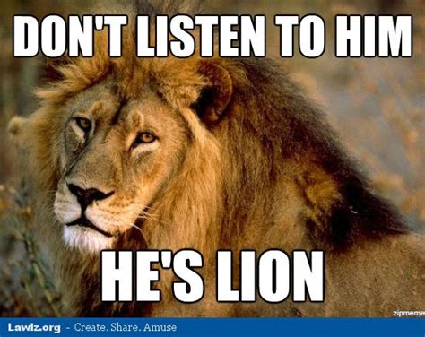29 Very Funny Lion Memes Images Jokes S And Pictures Picsmine
