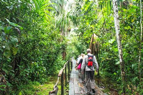 Jungle Adventures On An Ecuador Amazon Rainforest Trip Two For The World