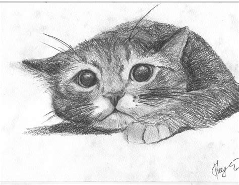 150 рисунков котов и кошек карандашом