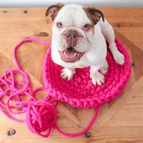 Lulu Pet Bed Pet Bed Pattern Diy Crochet Patterns Pet Bed