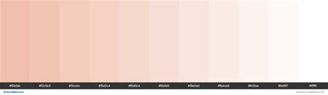 Nude Peach Colors Palette ColorsWall