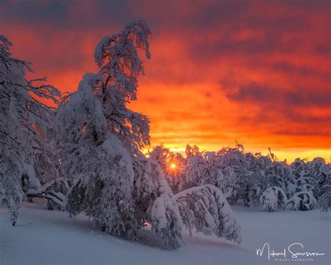 🇸🇪 Vivid Sunset Grövelsjöfjällen Dalarna Sweden By Mikael Svensson