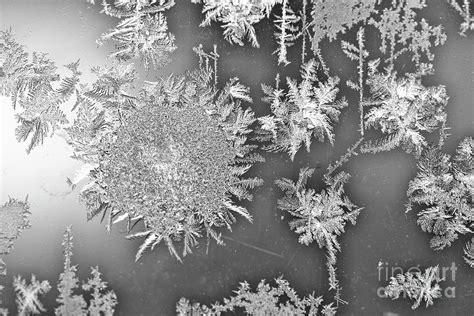 Ice Crystals Photograph By Alana Ranney Fine Art America