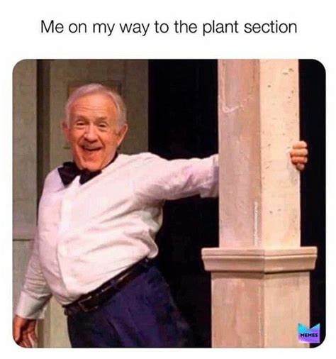 60 Plant Memes For You To Dig Through In 2020 Gardening Memes