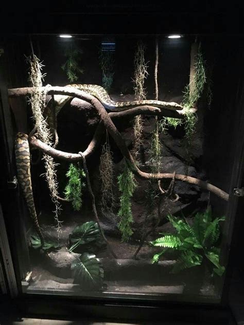 04snake Cage Snake Terrarium Reptile Enclosure Reptile Room