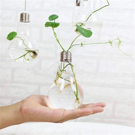 Cheap Glass Bulb Water Plants Find Glass Bulb Water Plants Deals On