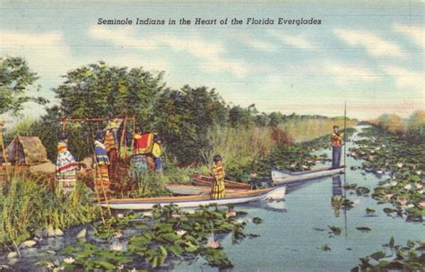 Seminole Indians In The Heart Of The Florida Everglades A Photo On