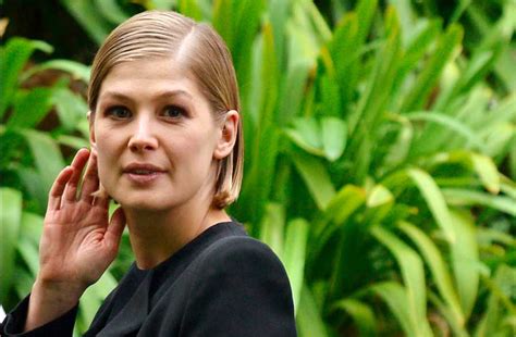 Rosamund Pike Gone Girl 22 Actors Whose Big Movie Break Didnt Pay