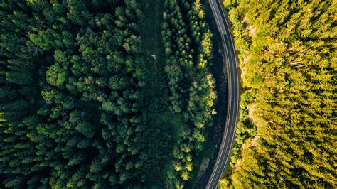 Download Aerial View Green Trees Forest Wallpaper 3840x2160 4k Uhd