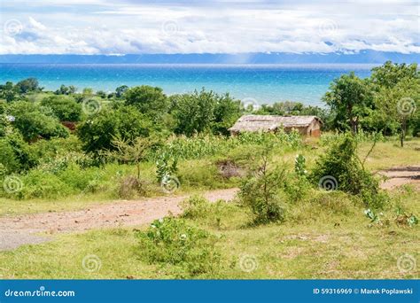 Landscape At The Lake Malawi Stock Image Image Of Poor Trees 59316969