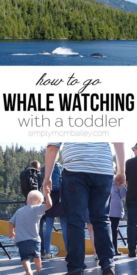 How To Go Whale Watching With A Toddler Prince Rupert