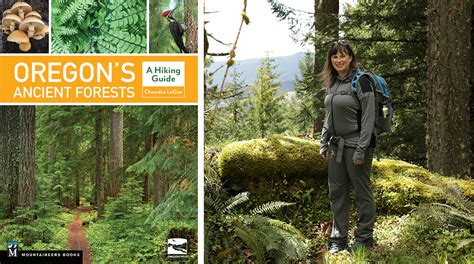 Oregon Hiking Guide Is A Salute To Old Growth Forests Street Roots