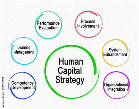 Human Capital Strategy Stock Photo Adobe Stock