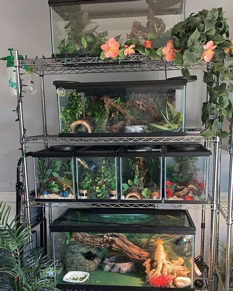 The 10 Most Inspiring Reptile Cage Ideas