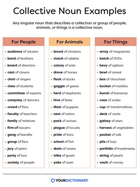 What Is A Collective Noun Explanation And Examples