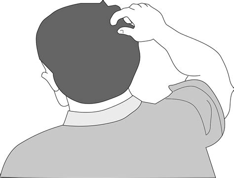 Download Clipart Back Of Head Clipartkey