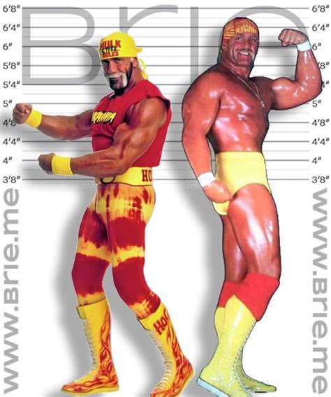 hulk hogan s real height brie